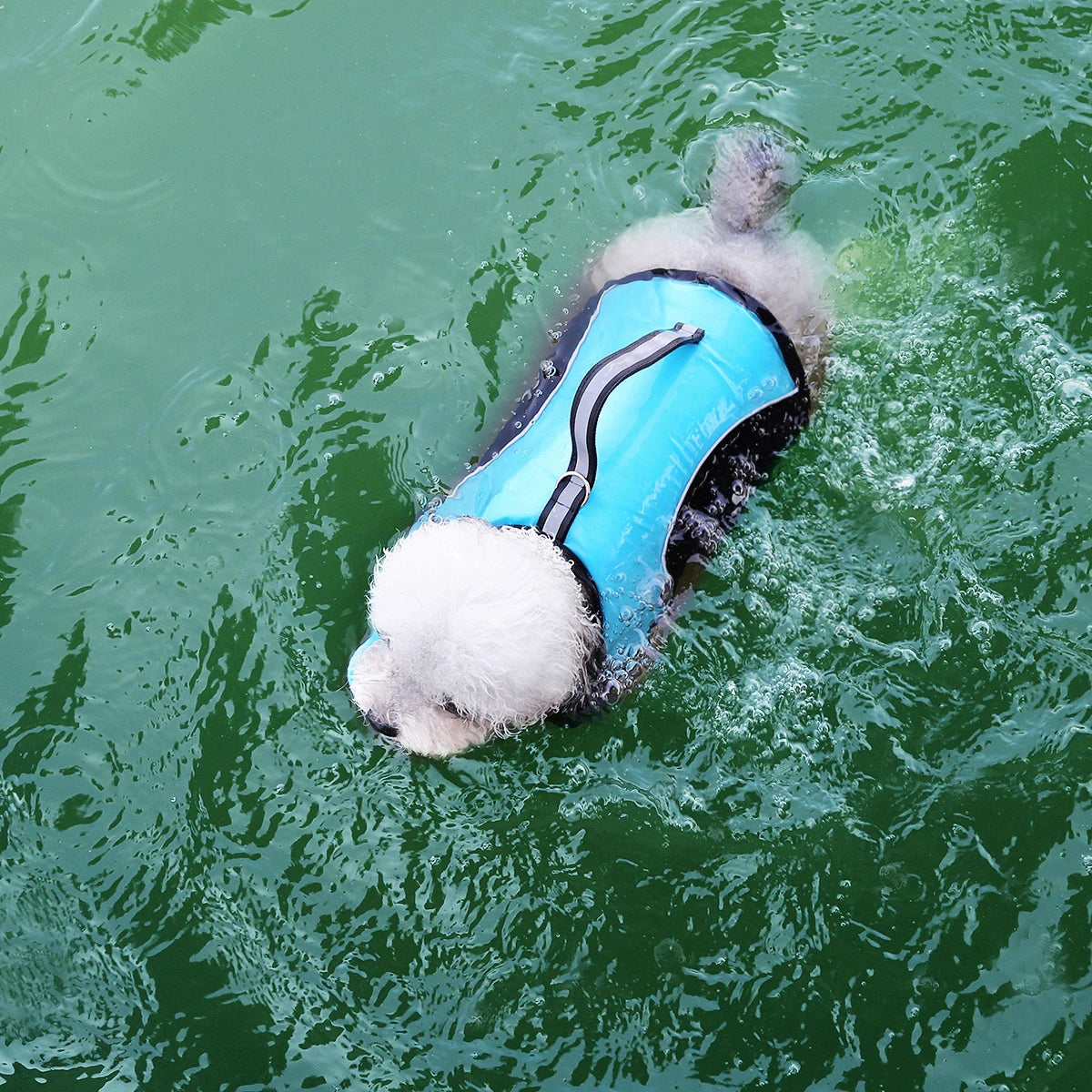 Premium Summer Dog Life Jacket Adjustable Pet Swimwear Safety Buoyant Vest for Small Medium Large Dogs Water Play