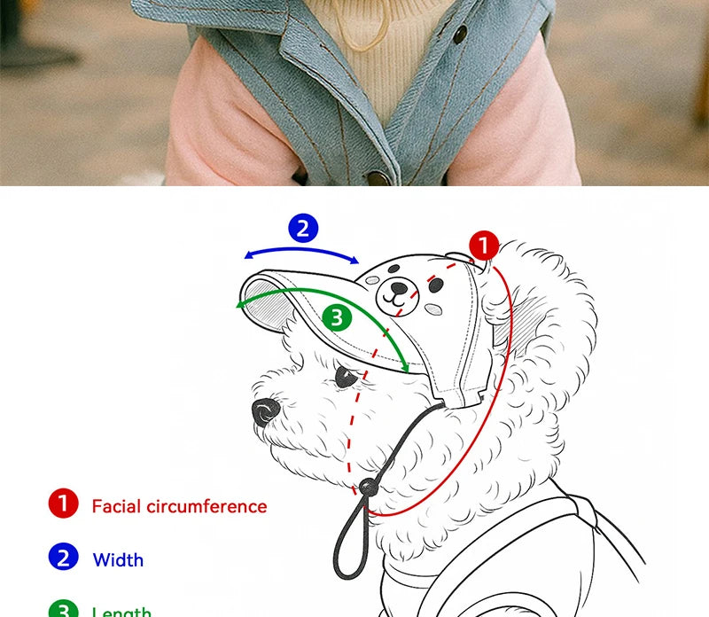 Two-piece fashionable pet sun hat and cool sunglasses set, dog baseball cap and cat head cover