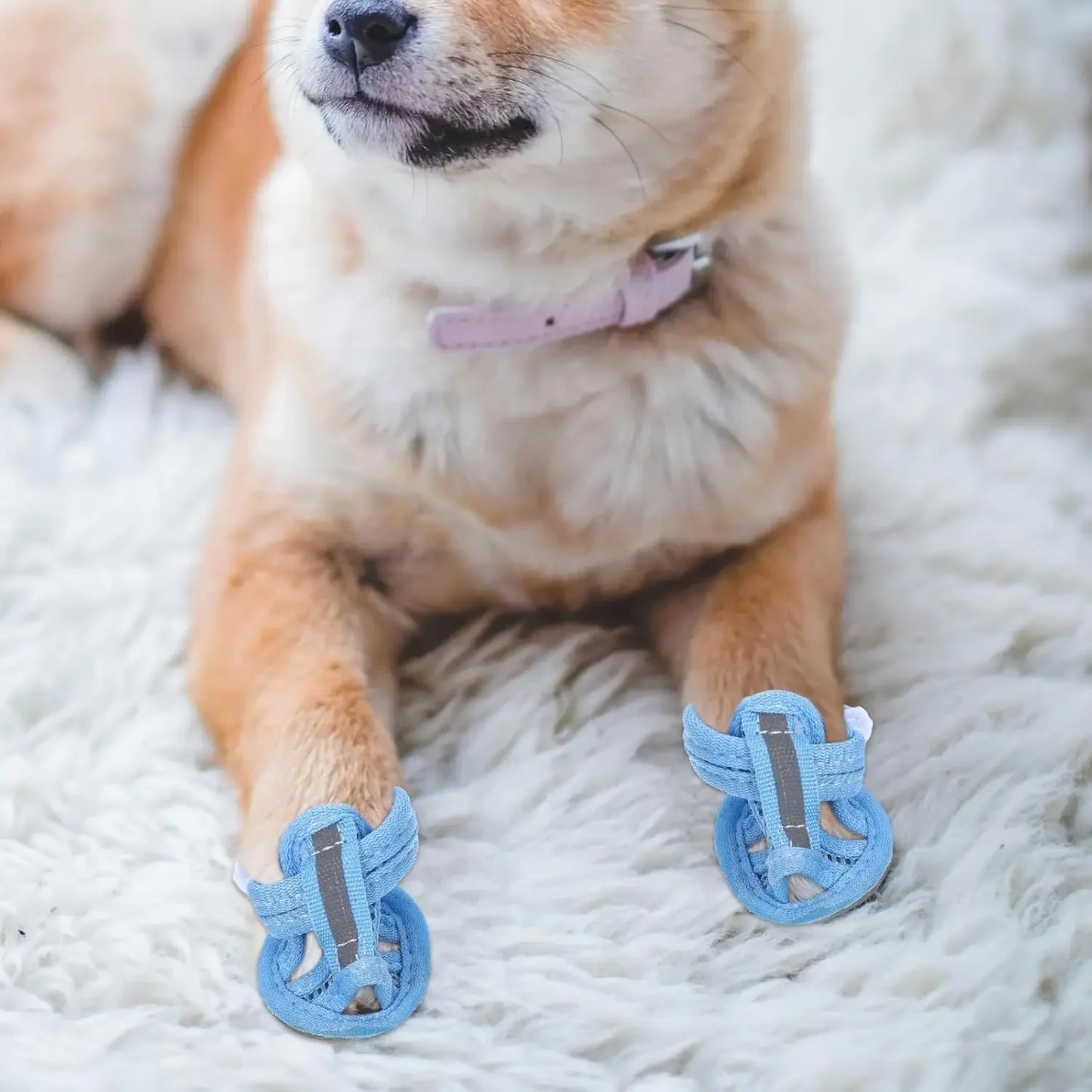 4PCS/set Summer Dog Shoes Breathable Sandals for Dog Cat Walking Running Outdoor Anti Slip Paw Protectors & Pet Gifts