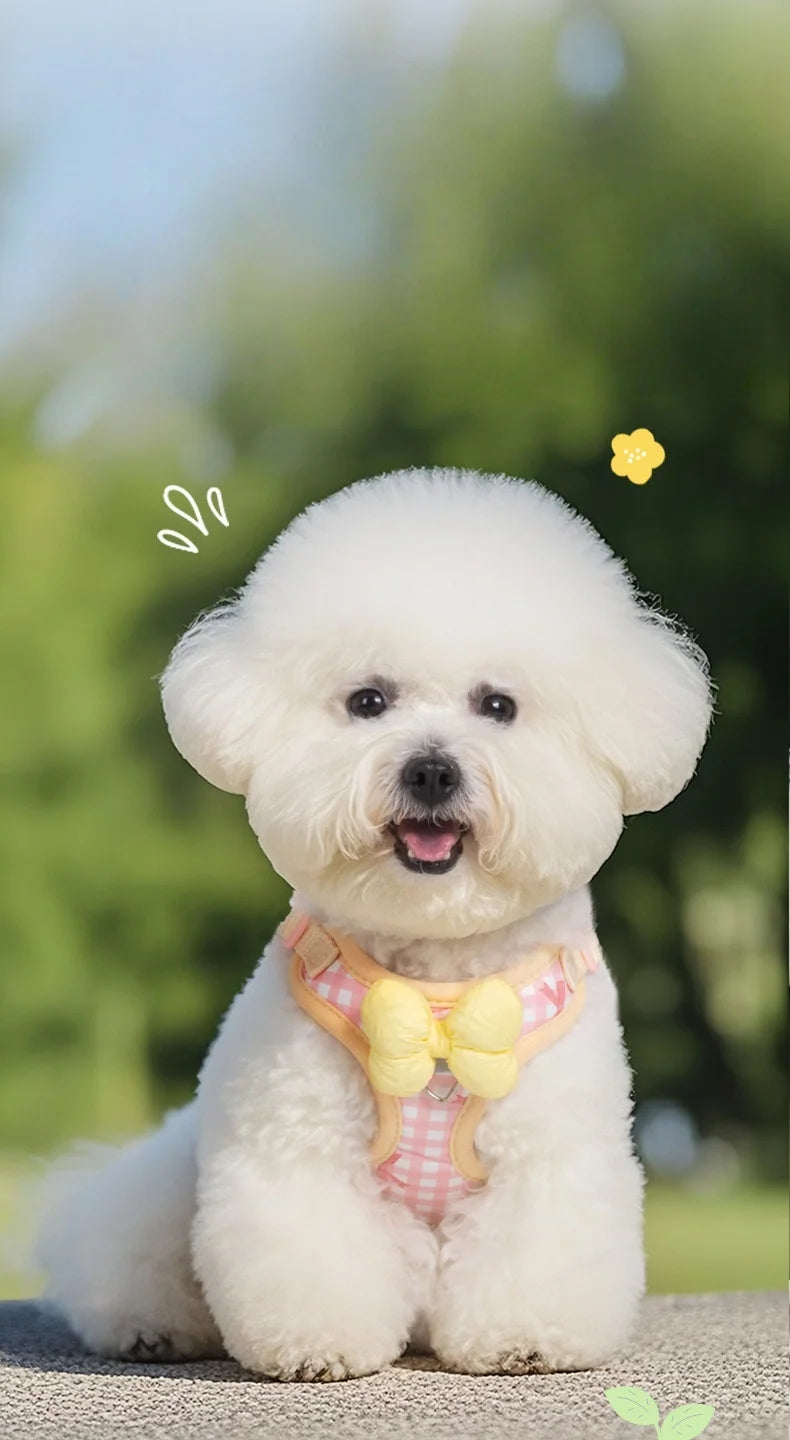 New Dog Harness  Air Cushion Breathable Soft Mesh Cat Vest Adjustable No-Pull Pet Harness for  Small Medium Large Dogs Puppies