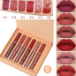 handaiyan 6 colors matte velvet lip glaze set waterproof non-fading, non-stick cup smudge-proof lip gloss set