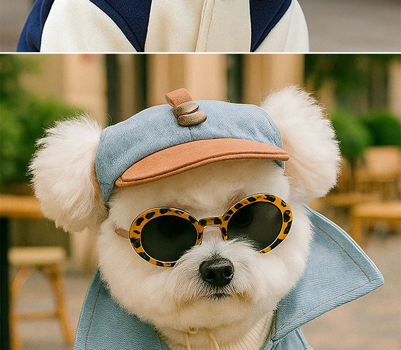 Two-piece fashionable pet sun hat and cool sunglasses set, dog baseball cap and cat head cover