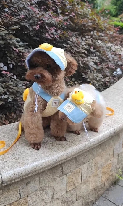 Pet Puppy Harness Leash Set for Small Mid Dogs Cat Walking Lead Chihuahua Bunny Vest Harness Poodle Collar Leash Dog Accessories