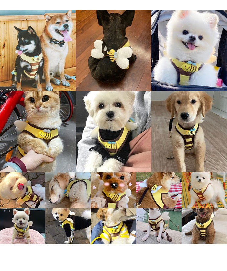 Cute Bee Kitten Puppy Dogs Harness and Leash Set Soft Breathable Dogs Vest Harness Leads Pet Clothes for Small Dogs Chihuahua