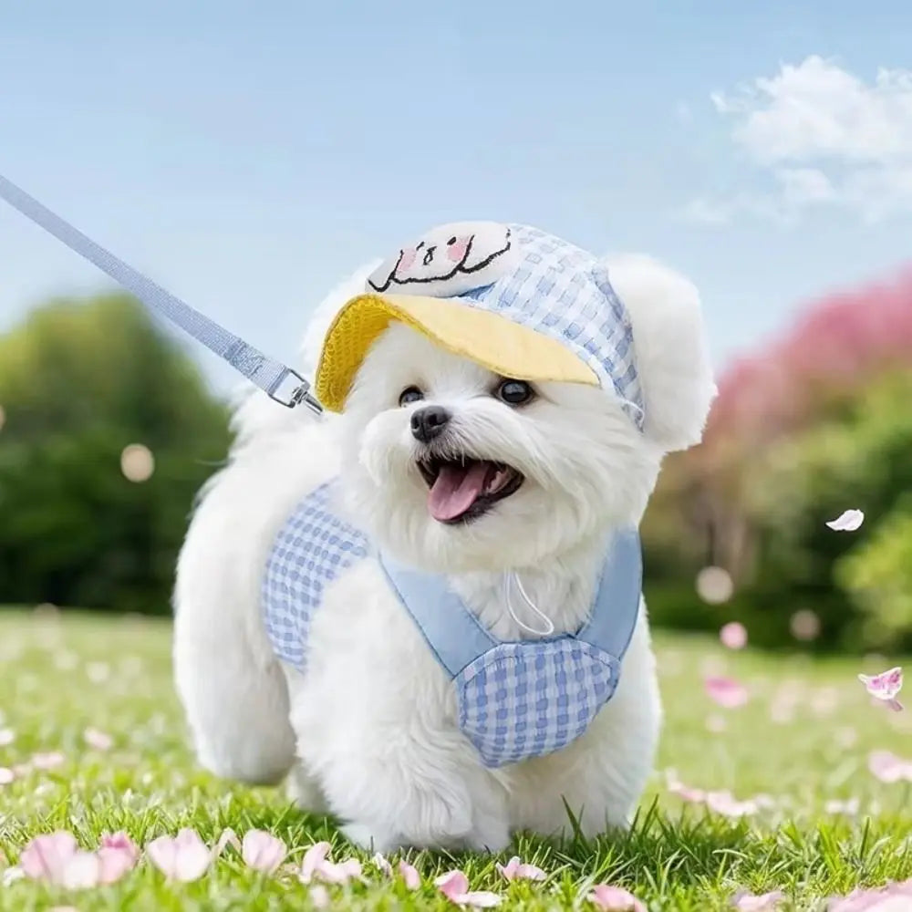 Vest Style Adjustable Dog Harness Set with Traction Rope Mesh Pet Traction Set Soft with Hat Dog Walking Rope Outdoor