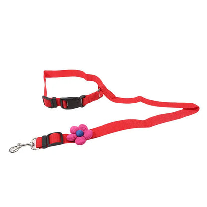 Dog Seat Belt for Vehicle Secure, Pet Car Tether Safety Leash for Dogs In Vehicles, Dog Seatbelt Tether,  Christmas Gift