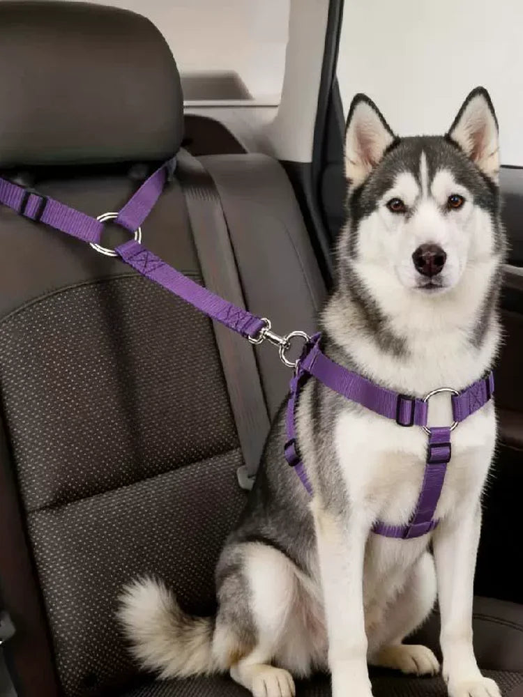 Car Dog Safety Belt Pet Leash Adjustable Durable Nylon Strap For Small Medium Dogs Anti Shock Vehicle Travel Seat Belt Lead