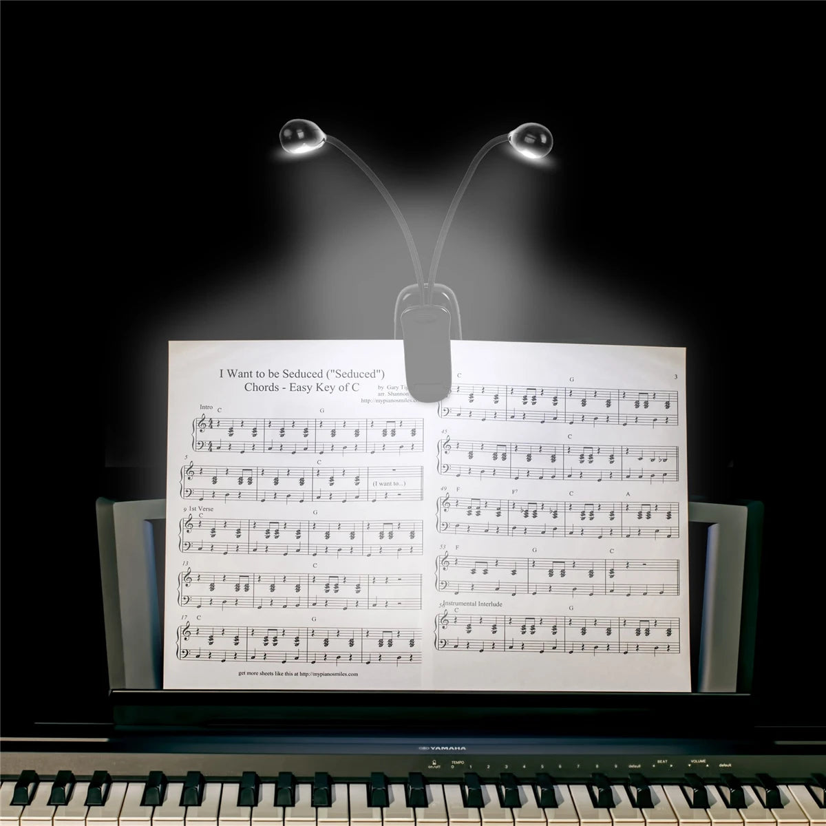 Music Stand Light, Clip on LED Book Lights, USB and AAA Battery Operated, Reading Lamp in Bed, 4 Brightness Levels, Ideal for Bo