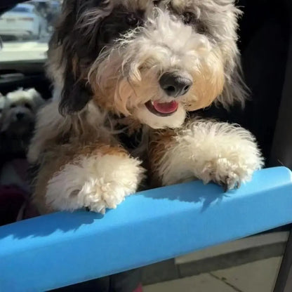 New Universal Dog Car Chin Rest Comfortable PLA Pet Chin Rest Soft Practical Car Window Chin Rest for Dogs Protect Pet's Chin