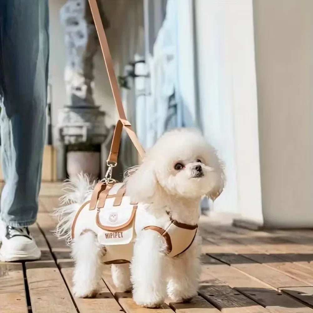 Cute Dog Backpack Carrier - Ideal for Small to Medium Pets - Ideal for Travel, Daily Use, Walking, Pet Carry Bag, Dog Carrier