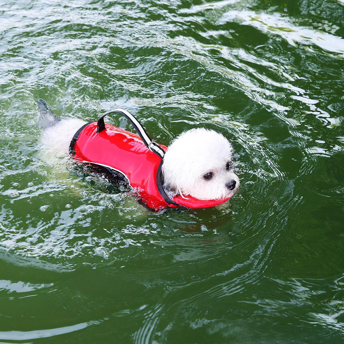 Premium Summer Dog Life Jacket Adjustable Pet Swimwear Safety Buoyant Vest for Small Medium Large Dogs Water Play