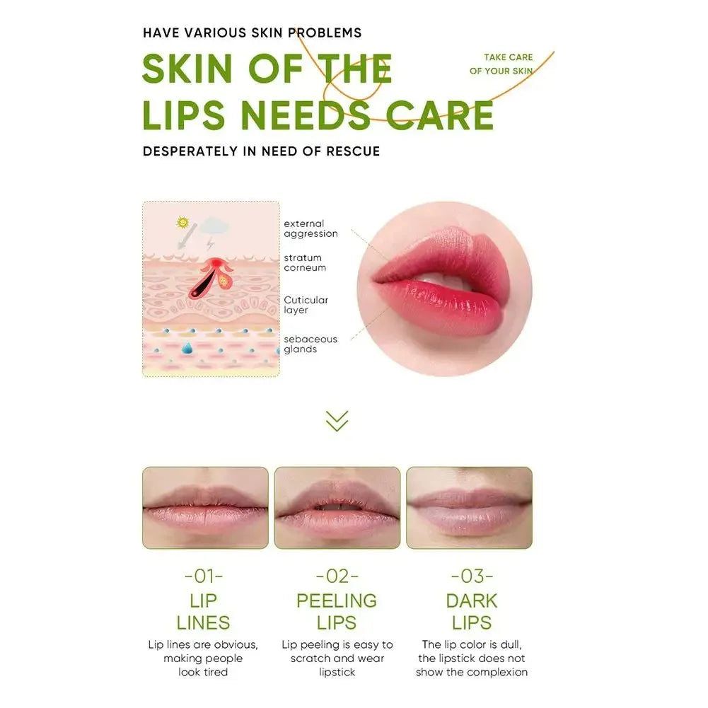 Refreshing Moisturizing Repair Lip Balm Aloe Vera Vitamin Essence Double Protection Hydrating Lip Balm Beauty Skin Care