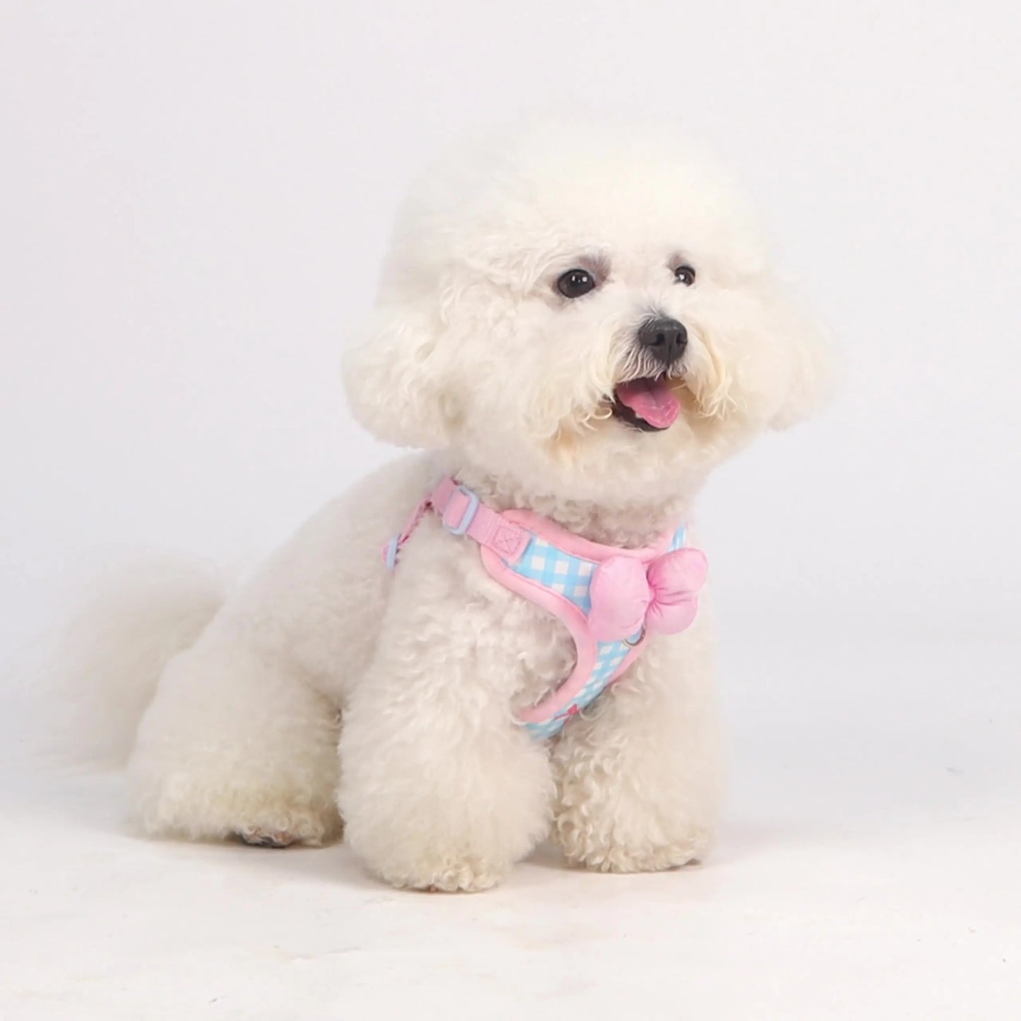 New Dog Harness  Air Cushion Breathable Soft Mesh Cat Vest Adjustable No-Pull Pet Harness for  Small Medium Large Dogs Puppies