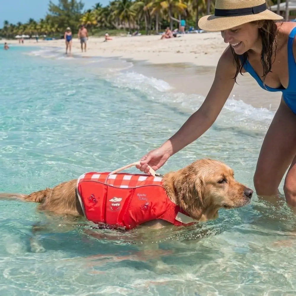 Waterproof Dog Life Jacket Breathable High Buoyancy Dog Swimming Suit Adjustable Thick Sponge Pad Dog Life Preserver Swimming