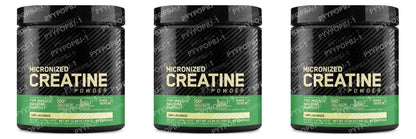 Optimum Nutrition Micronized Creatine Monohydrate Powder Unflavored 60 Servings 300 Grams Packaging May Vary