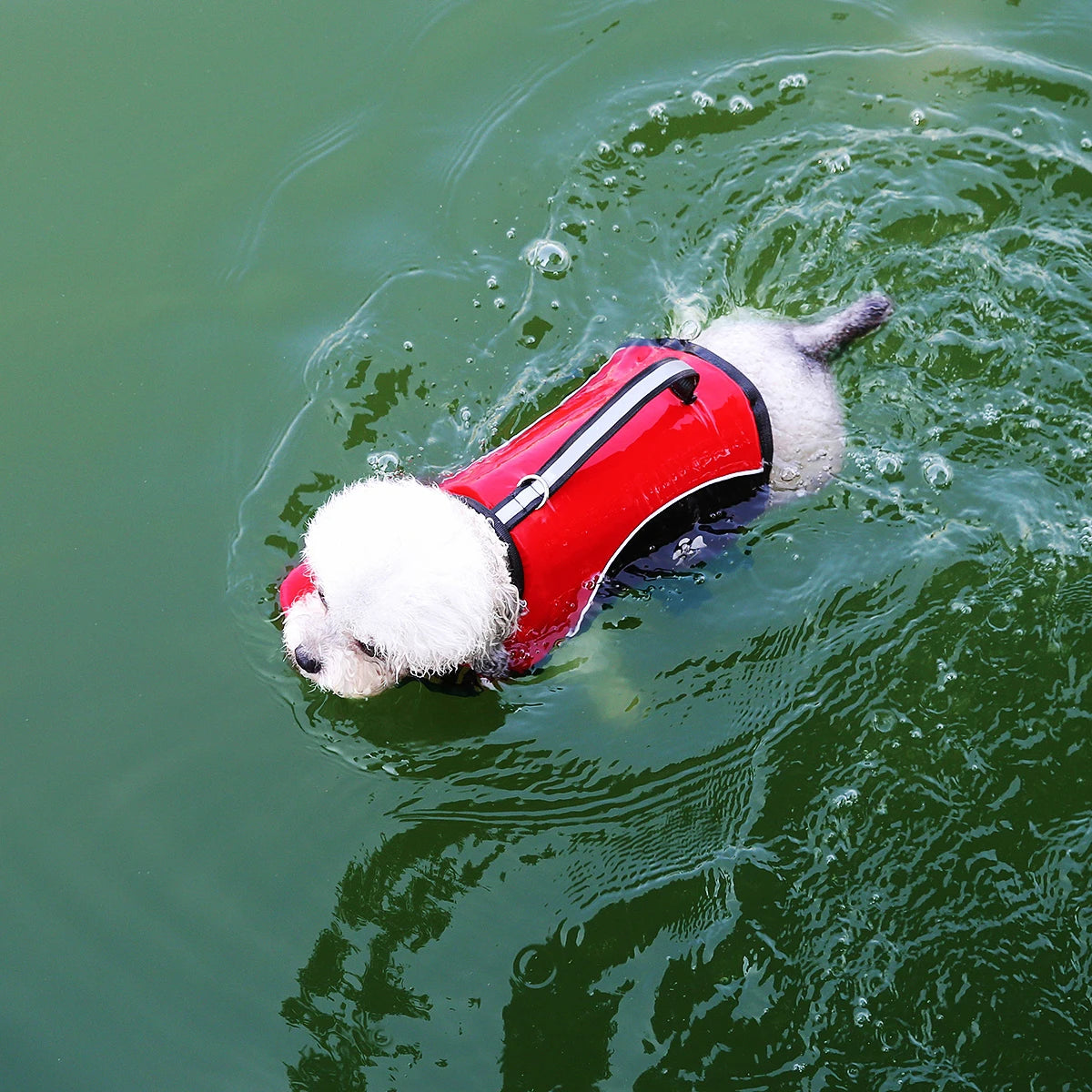 Premium Summer Dog Life Jacket Adjustable Pet Swimwear Safety Buoyant Vest for Small Medium Large Dogs Water Play