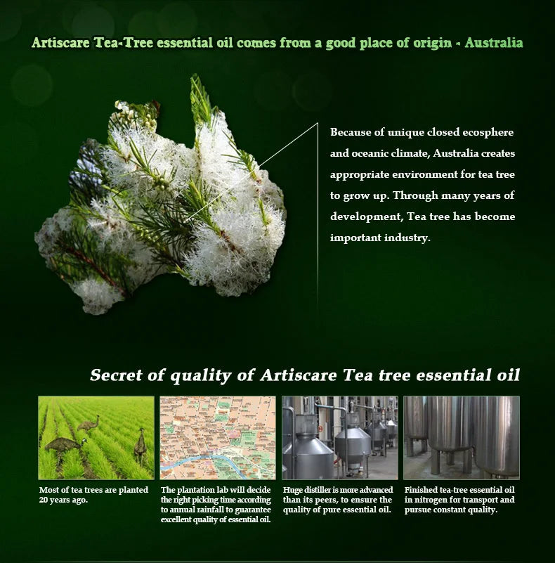 ARTISCARE pure tea tree essential oil 10mL blackhead Oil-control massage oil skin care cosmetics