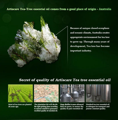 ARTISCARE pure tea tree essential oil 10mL blackhead Oil-control massage oil skin care cosmetics