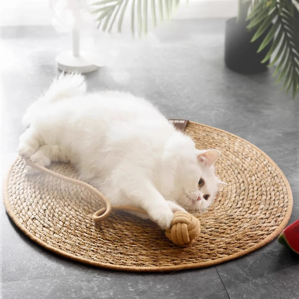 Dog Cat Scratcher Rattan Mat Board Cat Scratch for Sharpen Nails Scraper Cats Tree Cat scratching post Sofa Mats Furniture Protector