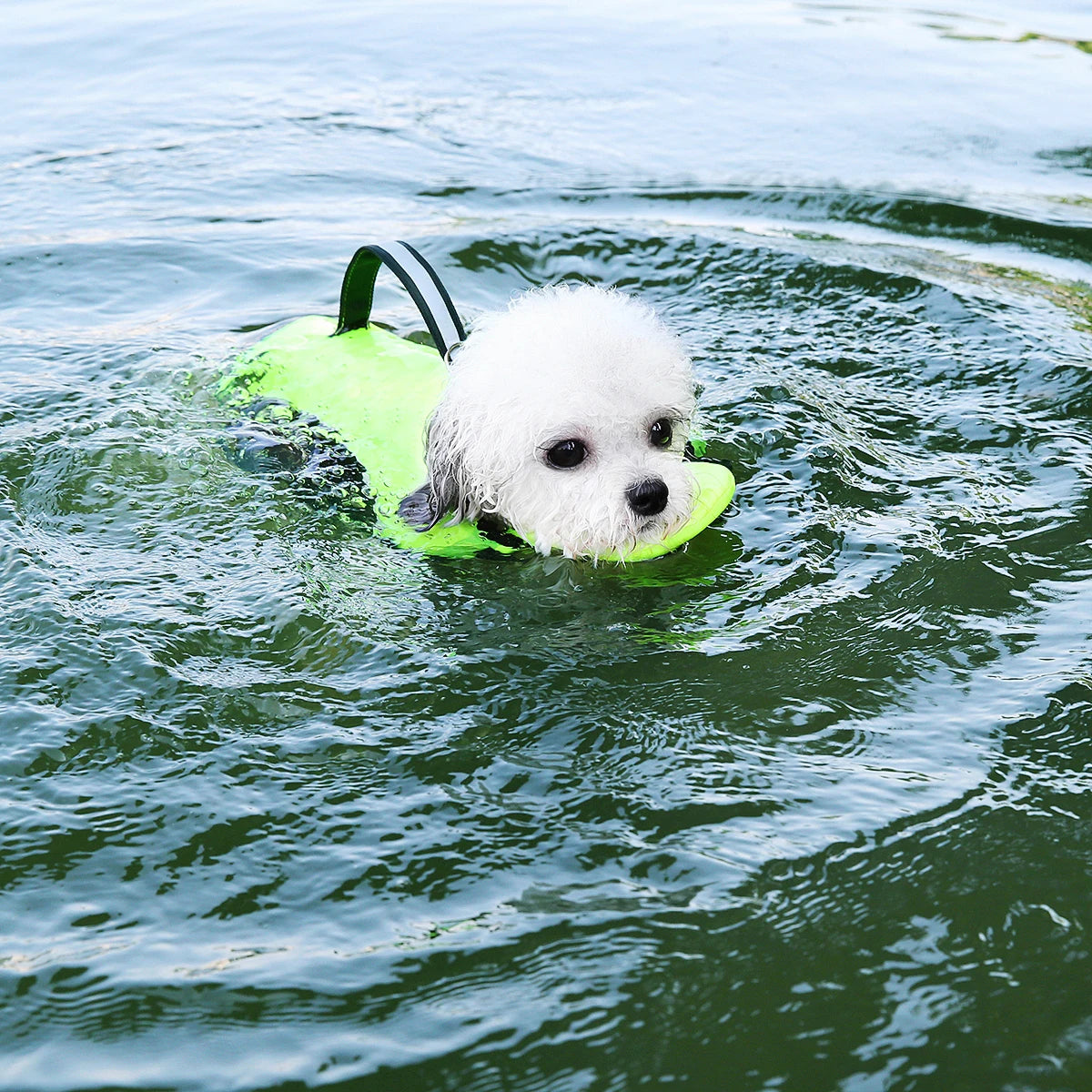 Premium Summer Dog Life Jacket Adjustable Pet Swimwear Safety Buoyant Vest for Small Medium Large Dogs Water Play