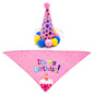 Pet Dog And Cat First Birthday Party Triangle