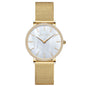 Full Stainless Steel Shell Chain Women's Diamond Shell Surface Quartz Watch