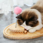 Cat Supplies To Protect Cats From Scratching And Scratching Artifacts