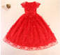 Gorgeous Embroidered Tail Pet Wedding Dress