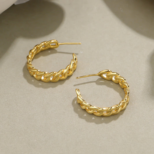 Sterling Silver Earrings Women Light Luxury Cold Wind