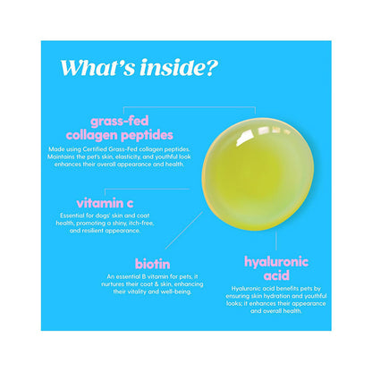 Pet Collagen Drops