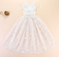 Gorgeous Embroidered Tail Pet Wedding Dress