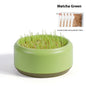 Potted Seeds Soilless Hydroponic Cat Grass