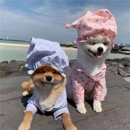 Korean Spring Blue Star-patterned Pajamas Suit