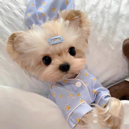 Korean Spring Blue Star-patterned Pajamas Suit