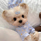 Korean Spring Blue Star-patterned Pajamas Suit