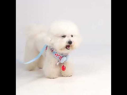 New Dog Harness  Air Cushion Breathable Soft Mesh Cat Vest Adjustable No-Pull Pet Harness for  Small Medium Large Dogs Puppies